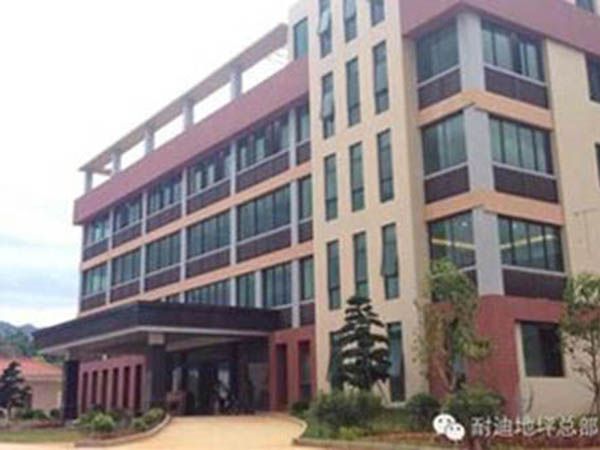 公司實(shí)力